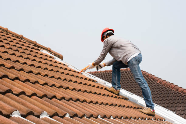 Best Skylight Installation and Repair  in Crow Agency, MT